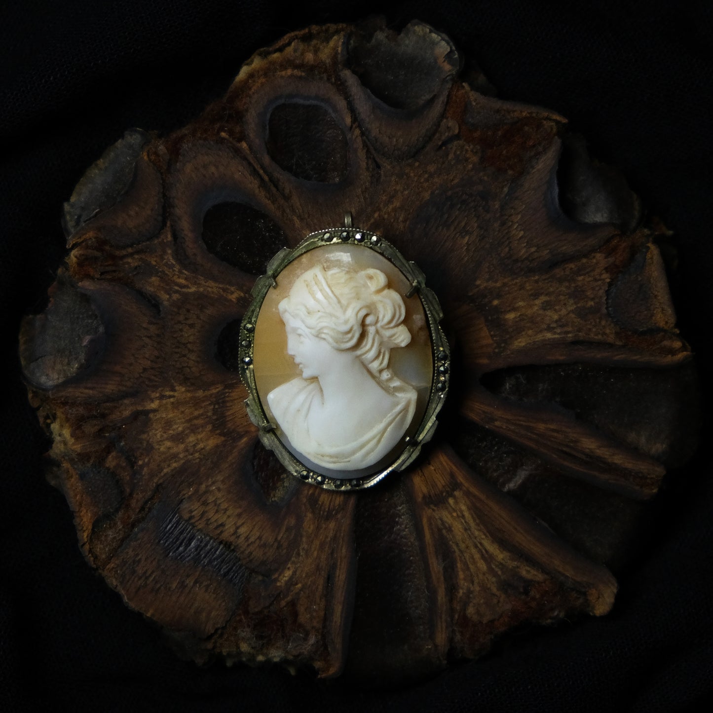 Artemisia