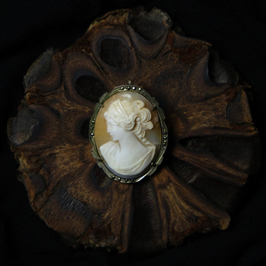 Artemisia