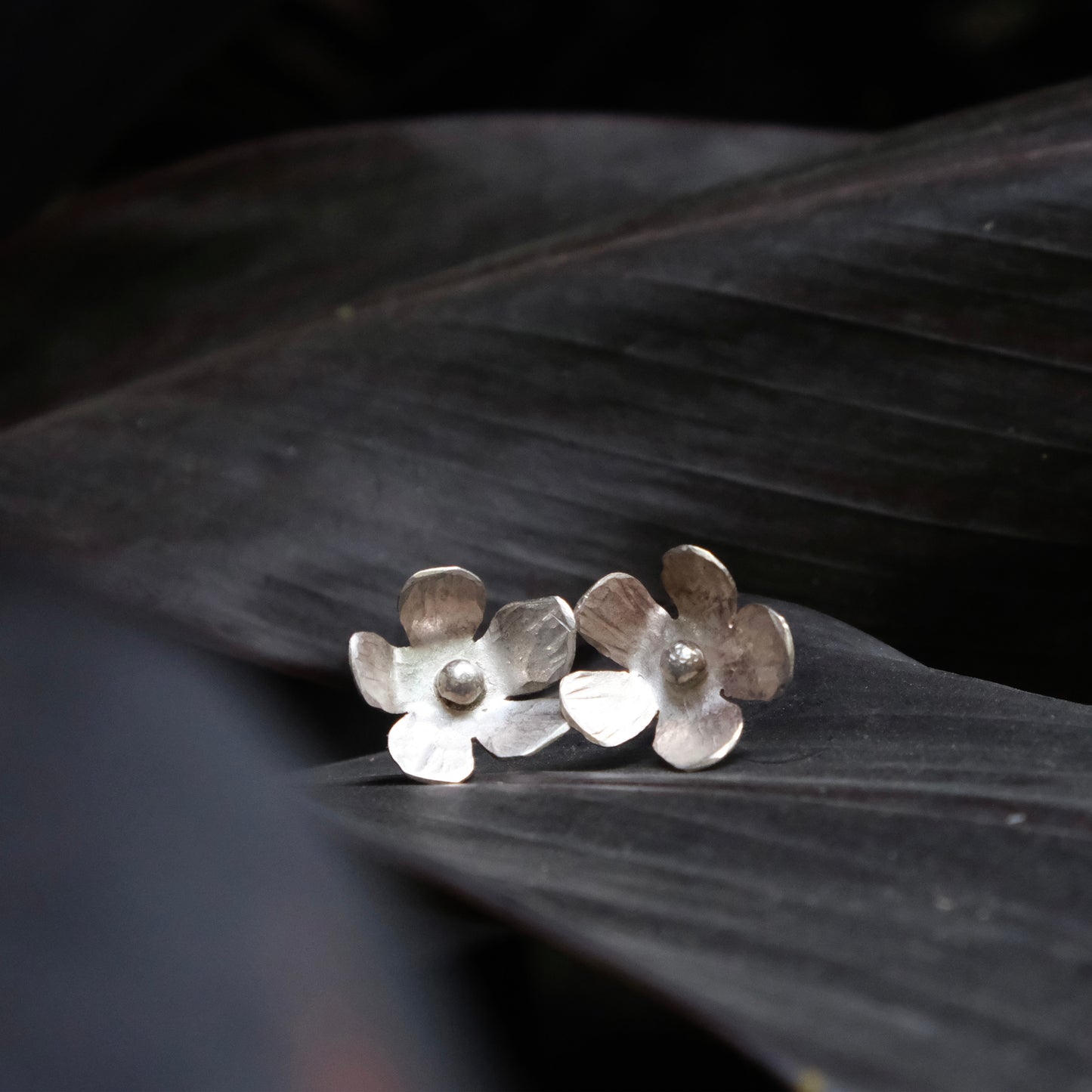 Silver Petal Forms