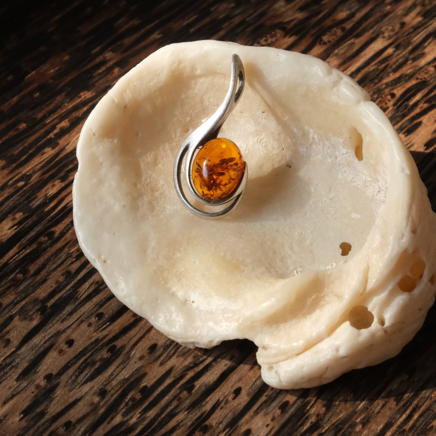The Amber Whisper