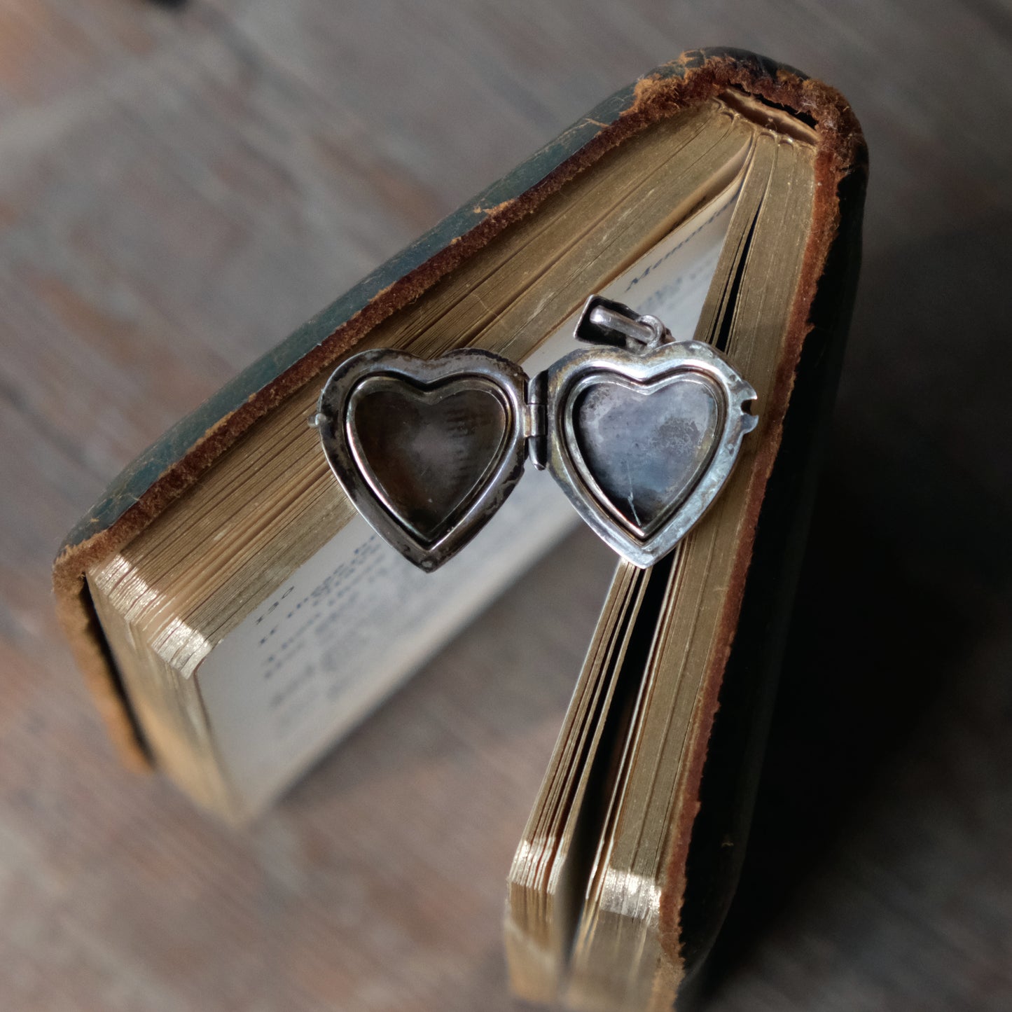 The Gilt Heart